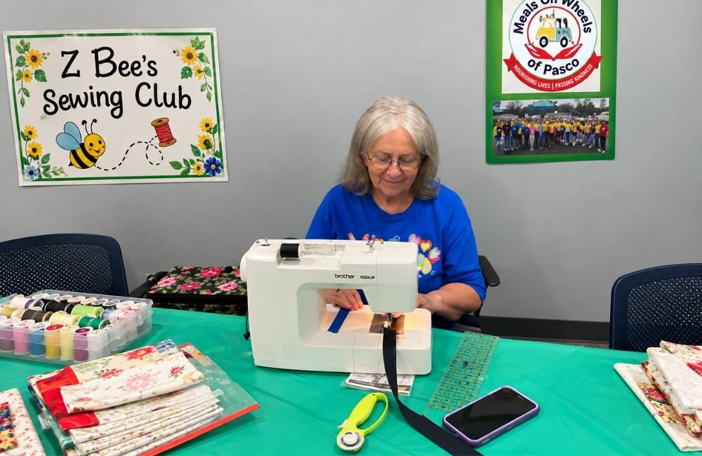 Z Bee's Sewing Club