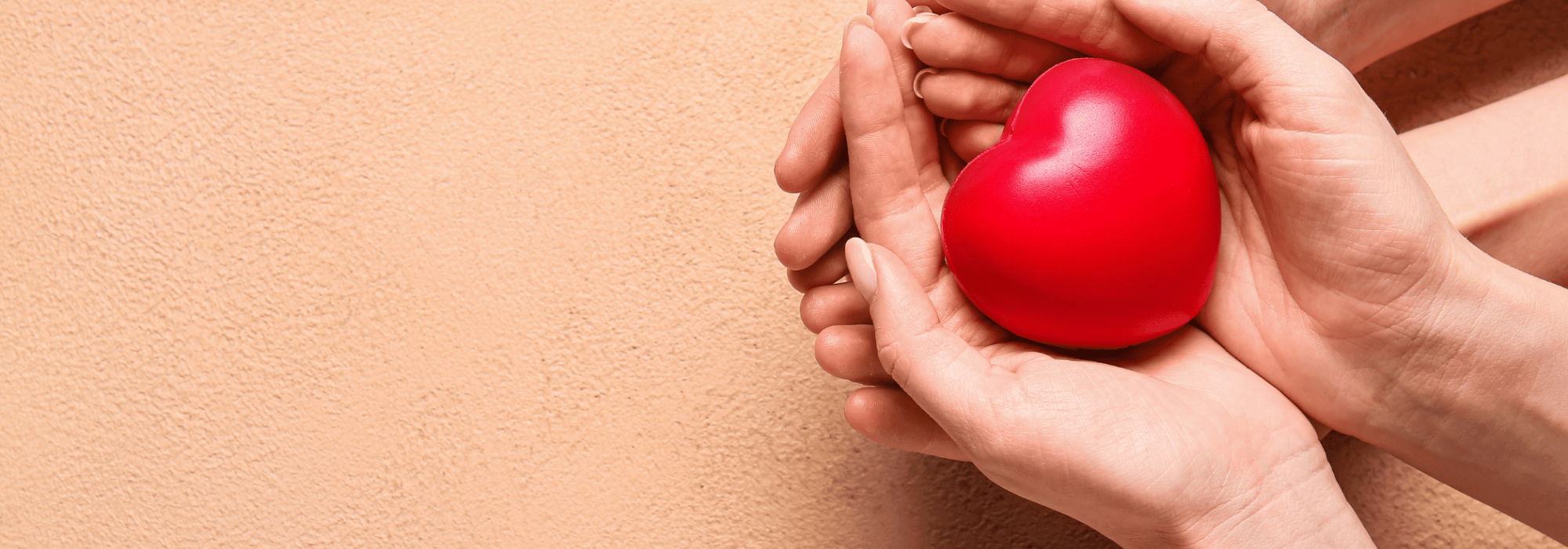 Discover Our Programs