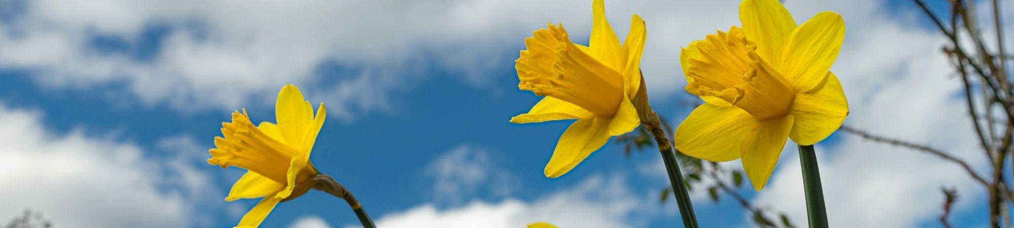 May Newsletter